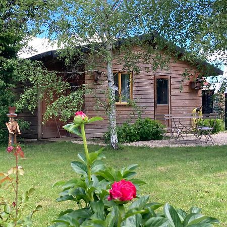 Chalet Proche Orleans Centre 圣让勒布朗 外观 照片